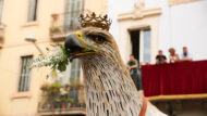 Àliga de Gràcia