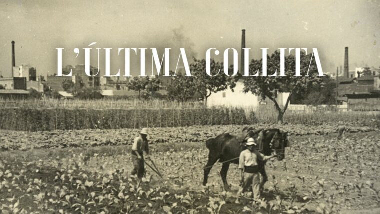L'última collita. Exposició de l'Arxiu Municipal de Barcelona